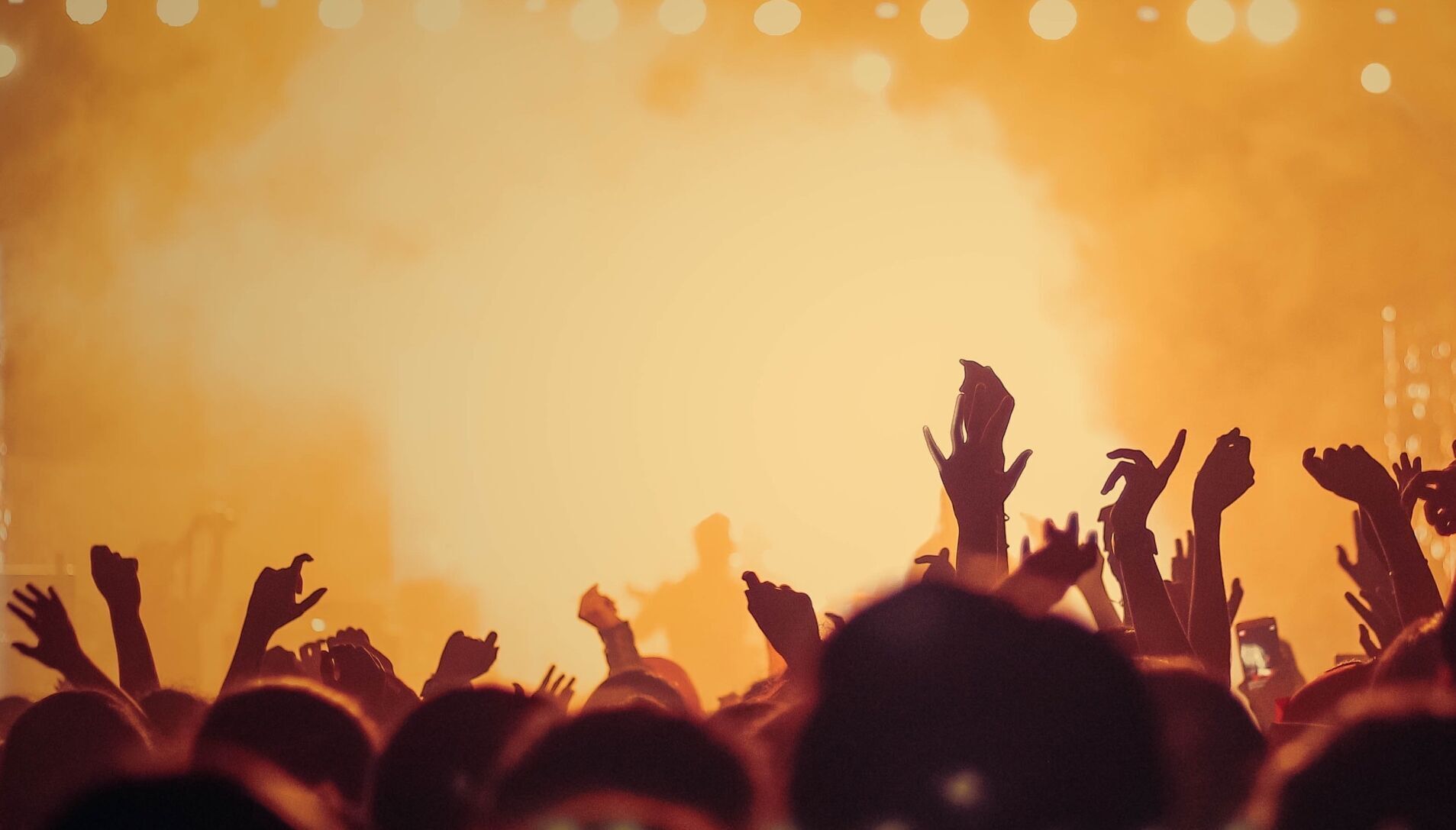 Concert Stock